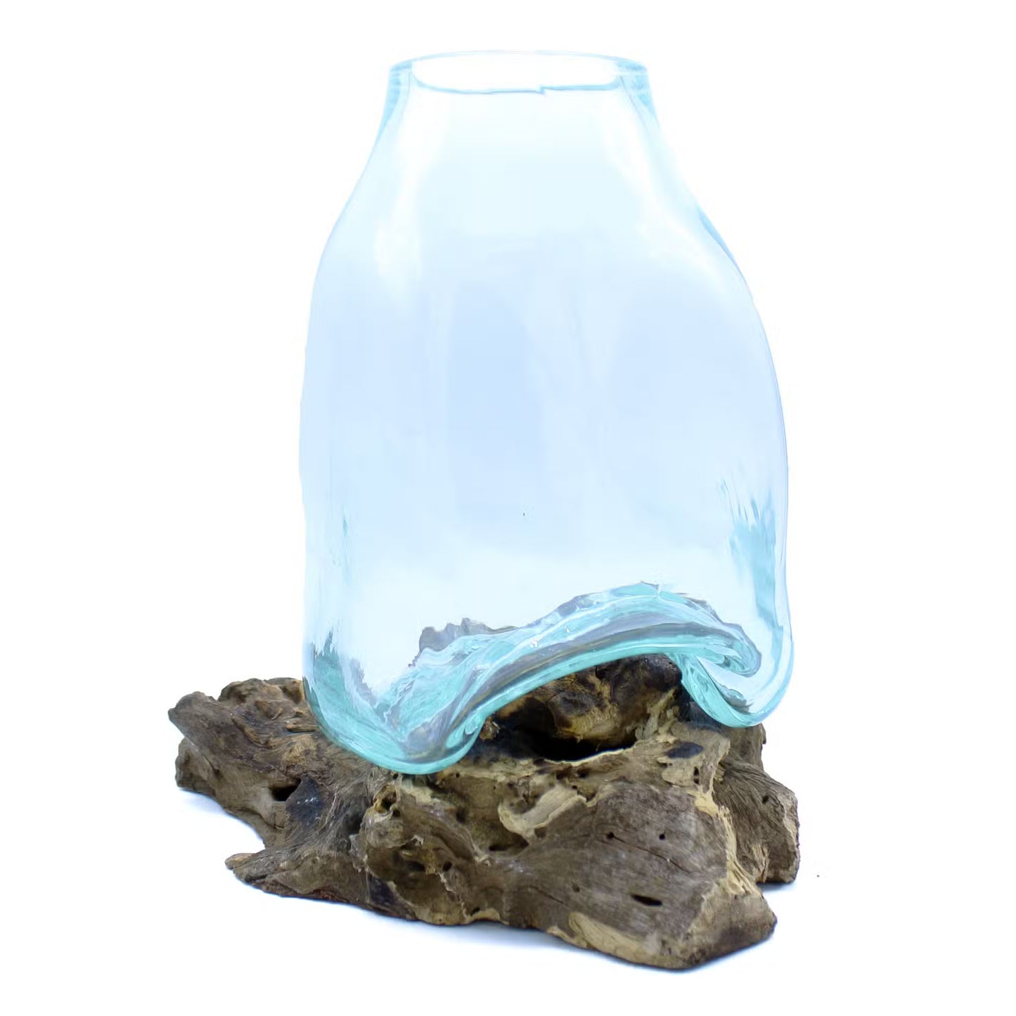 Large Hand-Blown Molten Glass Terrarium Jar on Gamal Wood Root