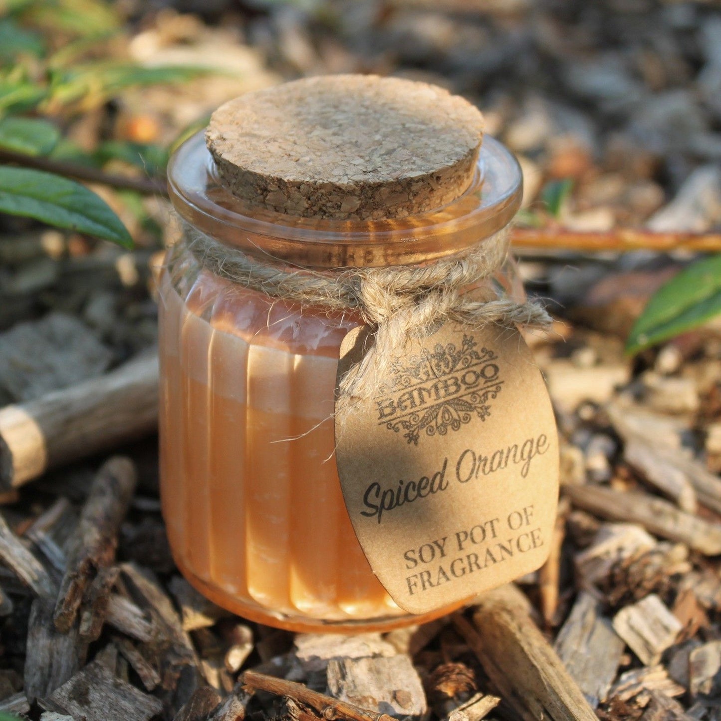 Fragrance Candle Pots: Spiced Orange - (Set of 2)