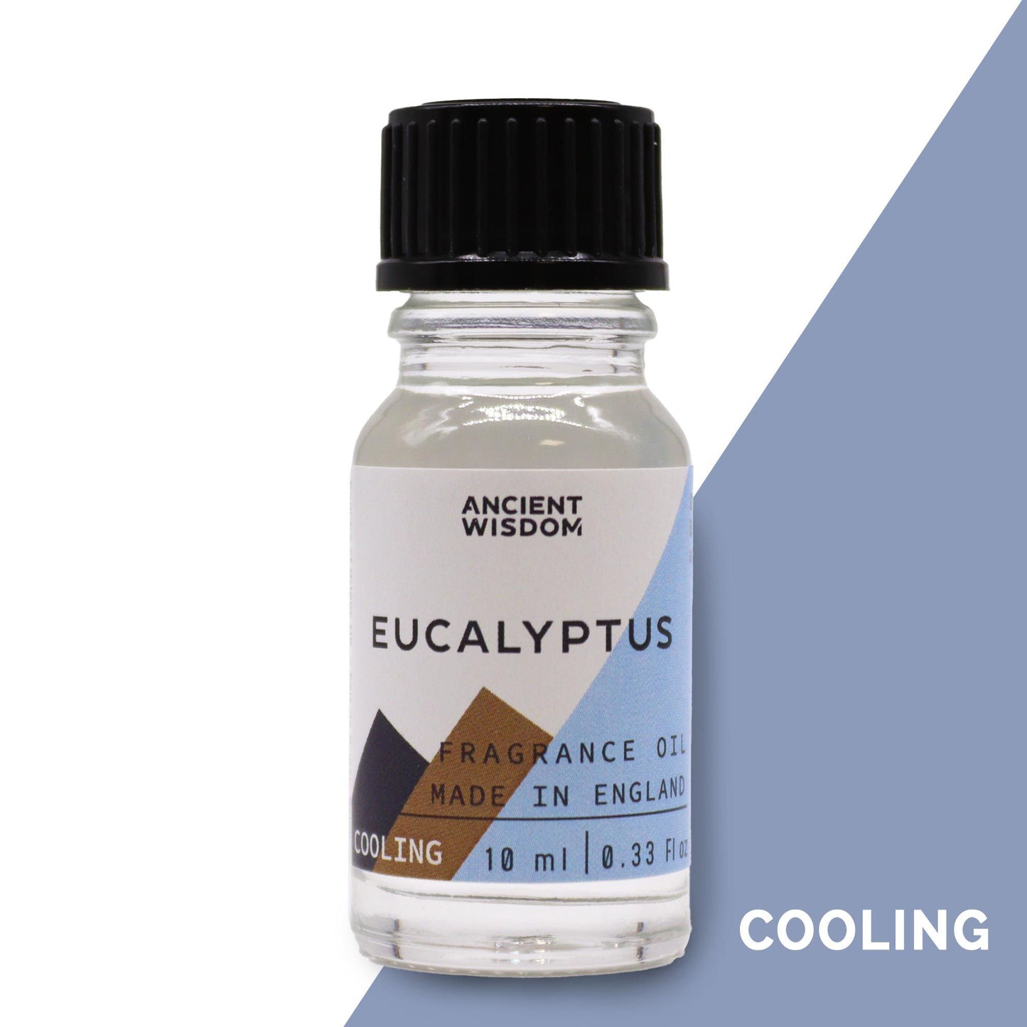 Eucalyptus Fragrance Oil - 10ml