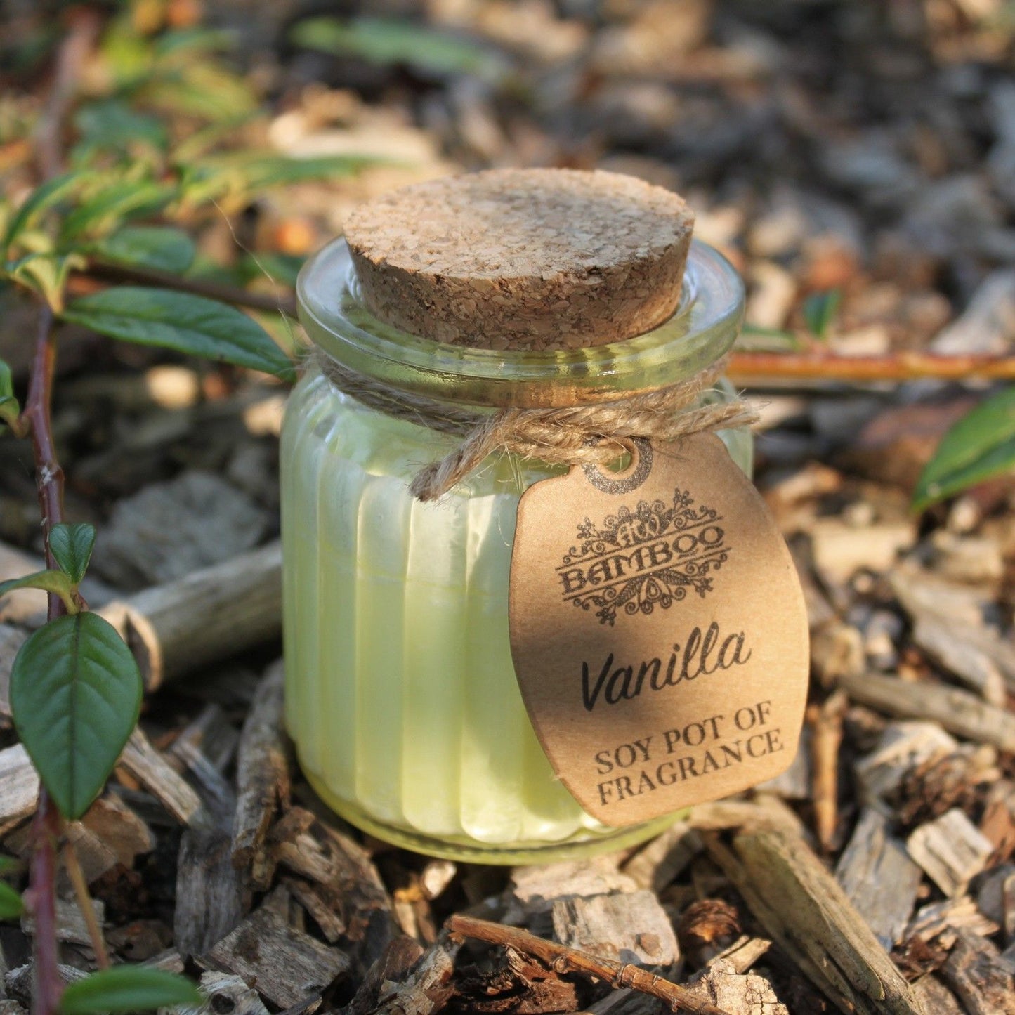 Fragrance Candle Pots: Vanilla - (Set of 2)
