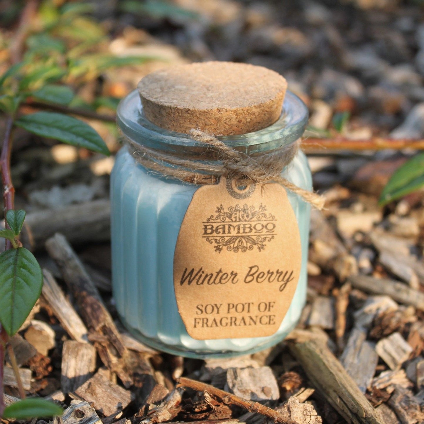 Fragrance Candle Pots: Winter Berry - (Set of 2)