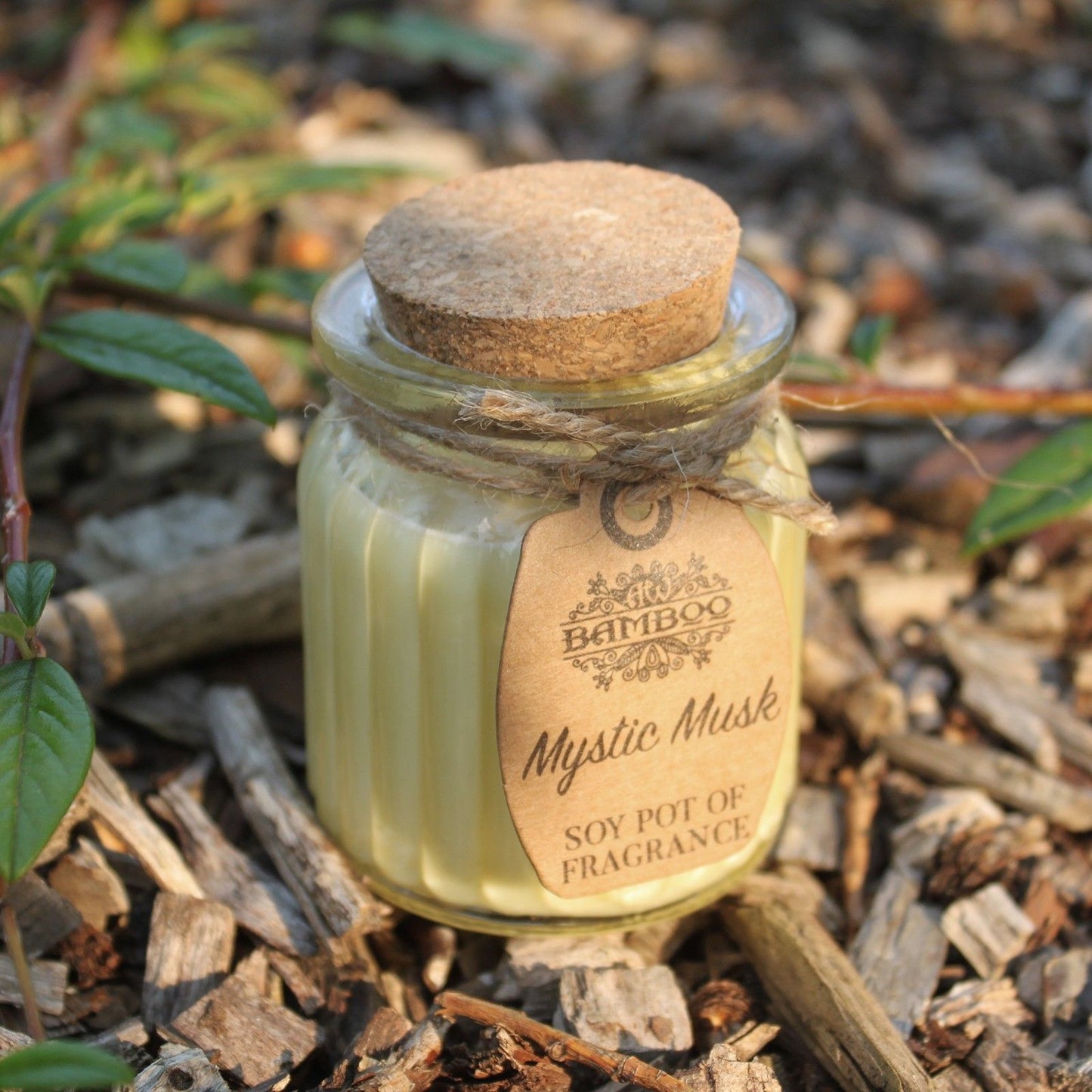 Fragrance Candle Pots: Mystic Musk - (Set of 2)
