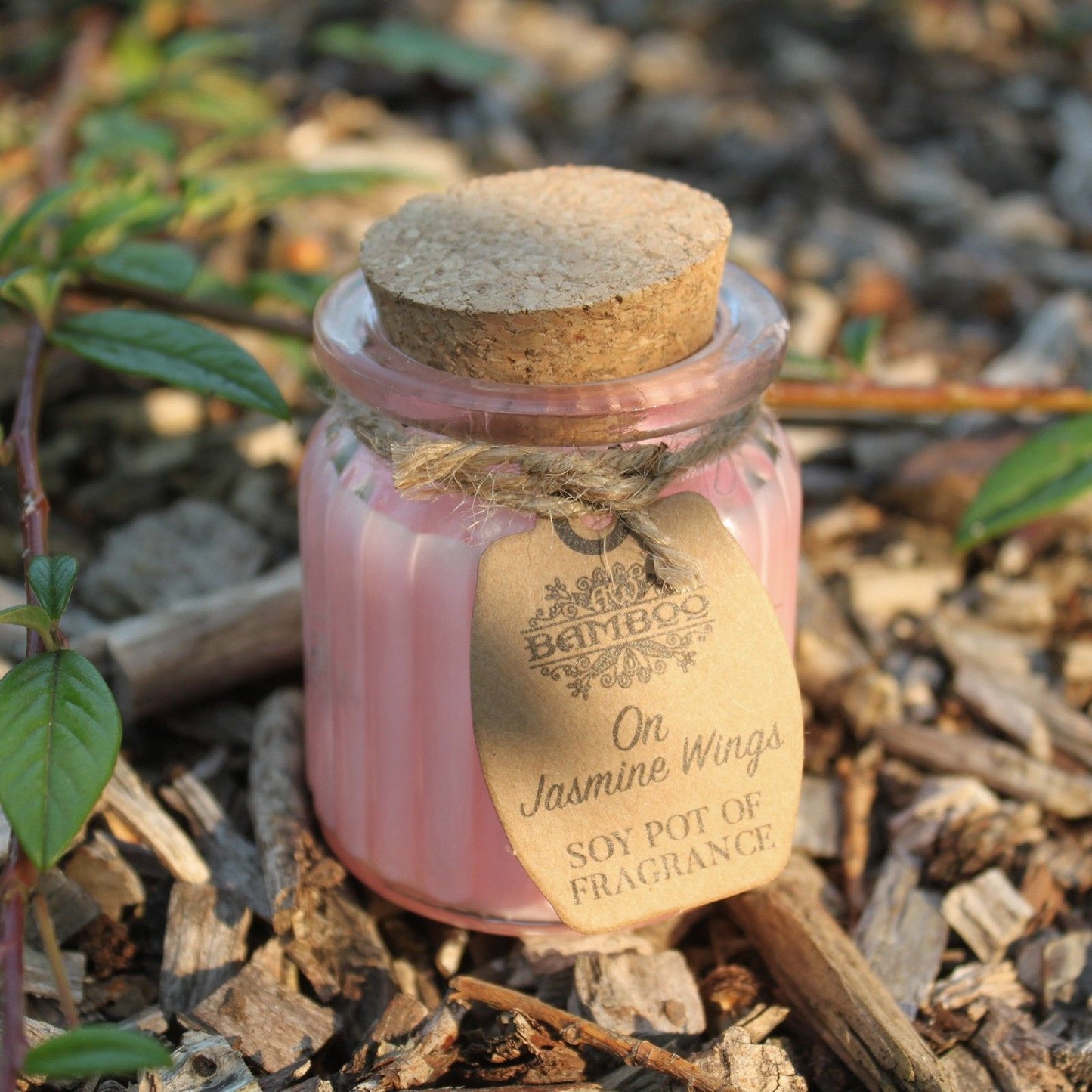 Fragrance Candle Pots: On Jasmine Wings - (Set of 2)