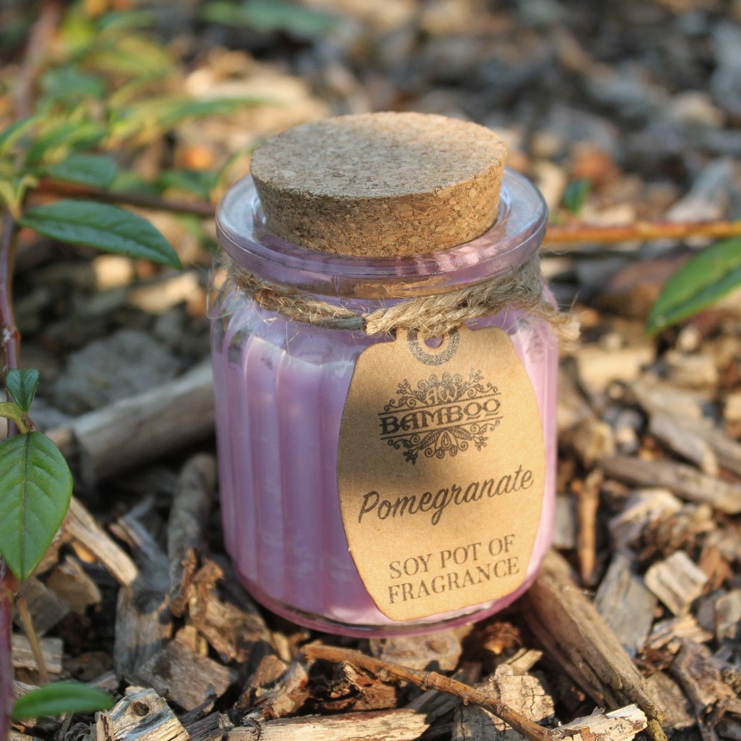 Fragrance Candle Pots: Pomegranate - (Set of 2)