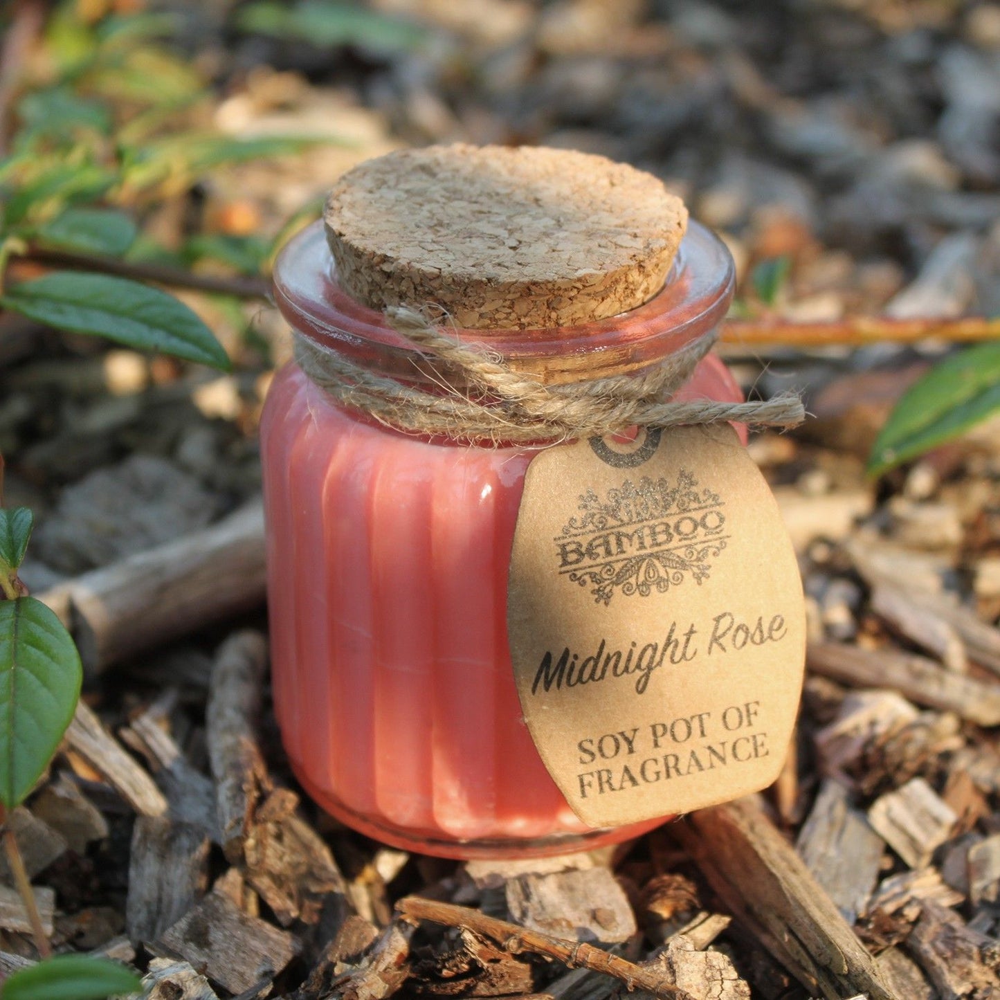 Fragrance Candle Pots: Midnight Rose - (Set of 2)