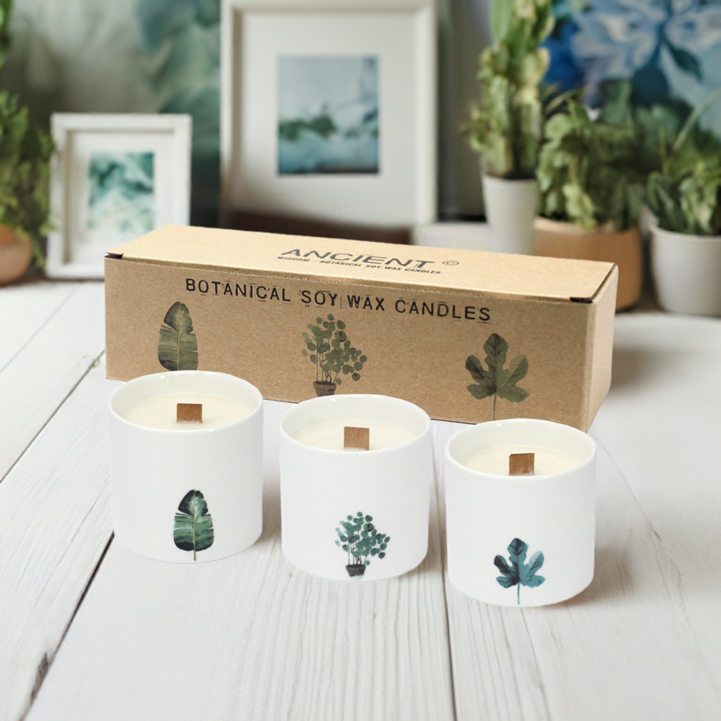 Large Botanical Candles - Set Of 3