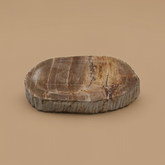 Indonesian Petrified Wood Soap Dish