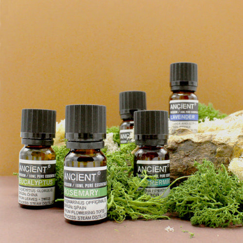 What Essential Oils Do Head Lice Hate?