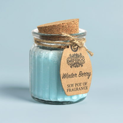 Fragrance Candle Pots: Winter Berry - (Set of 2)