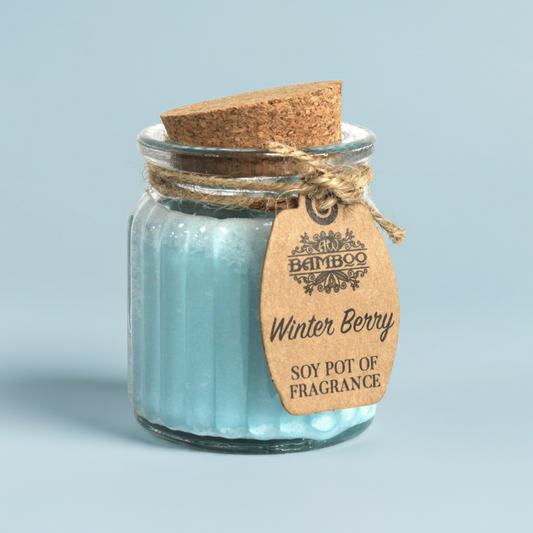 Fragrance Candle Pots: Winter Berry - (Set of 2)