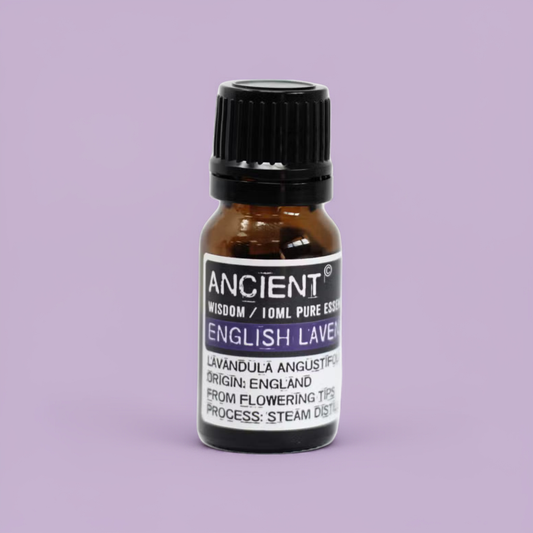 English Lavender Essential Oil - 10ml