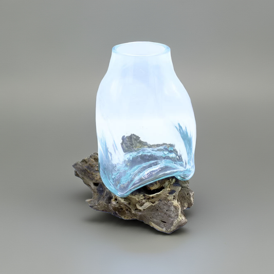 Large Hand-Blown Molten Glass Terrarium Jar on Gamal Wood Root