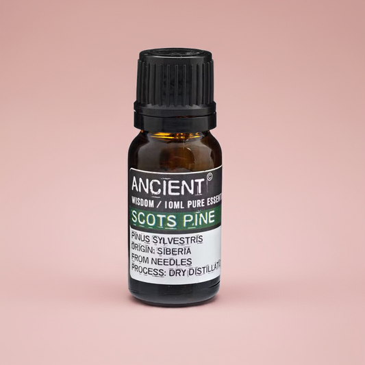 Scots Pine Essential Oil - 10ml