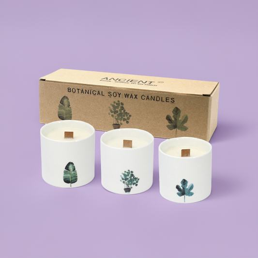 Botanical Candles: Marsh Viola