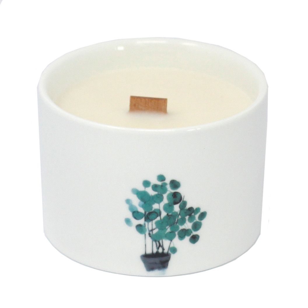 Botanical Candles: Lemon Honeysuckle