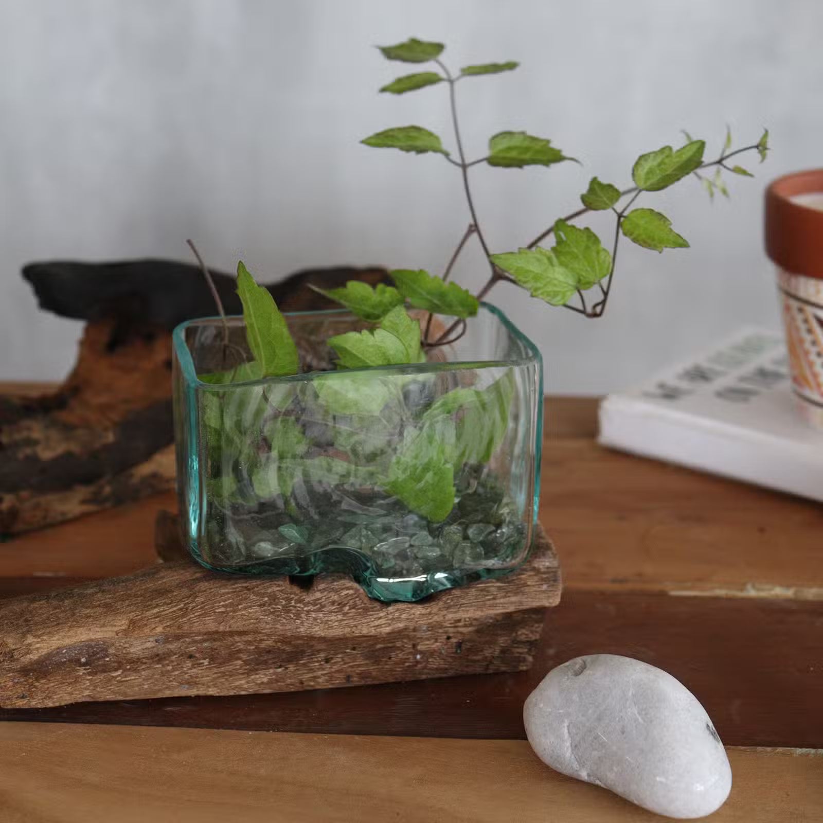 Hand-Blown Molten Glass Tank on Gamal Wood