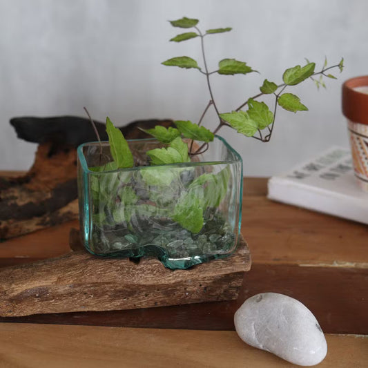 Hand-Blown Molten Glass Tank on Gamal Wood
