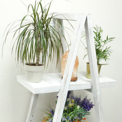 Folding Whitewash A-Frame Display: Natural Handmade Home Shelf