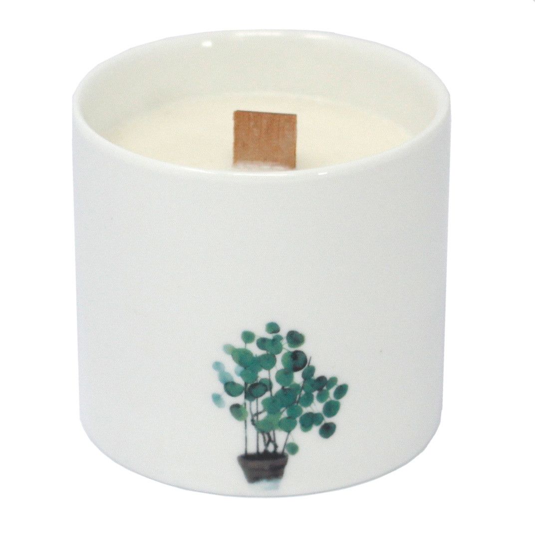Botanical Candles: Marsh Viola