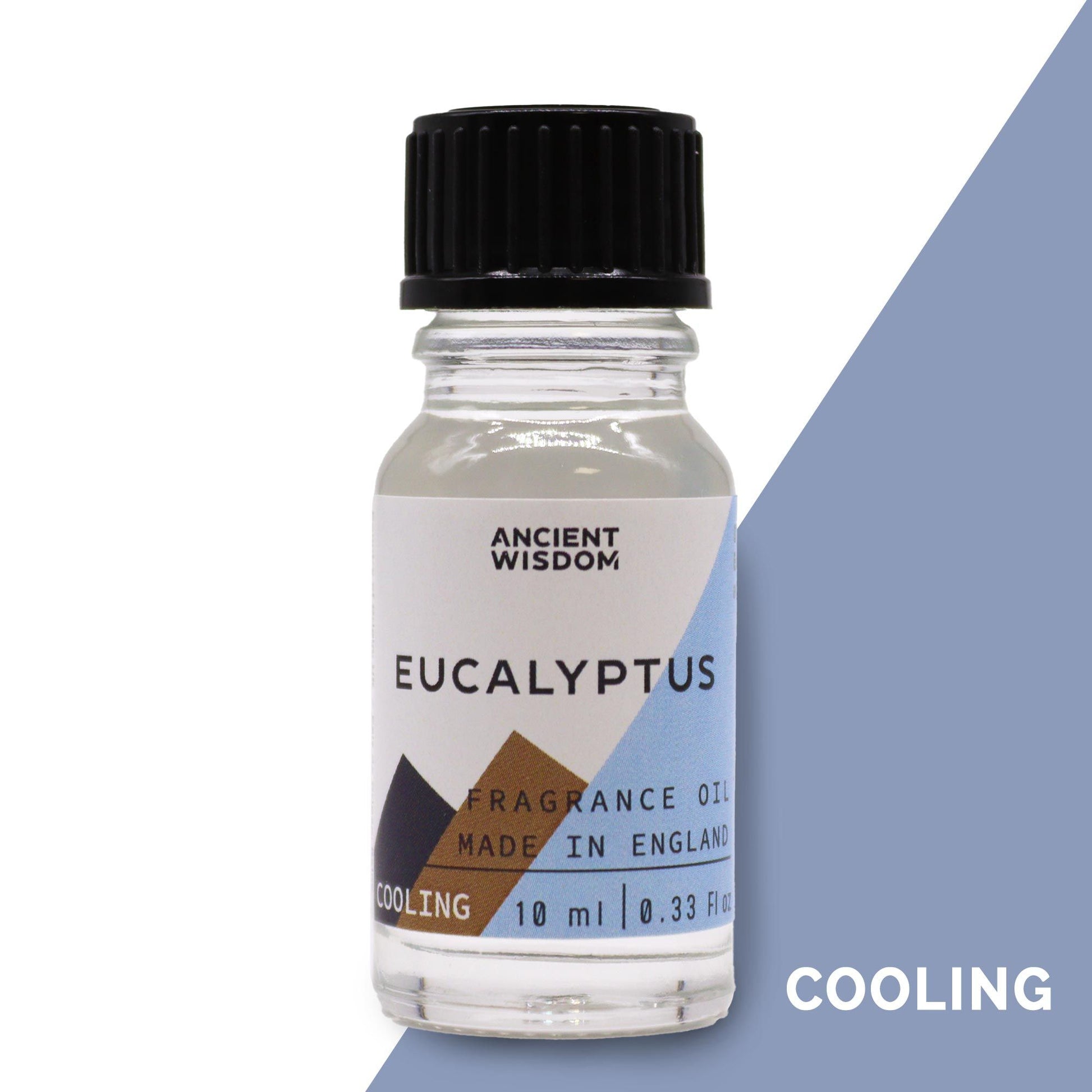 Eucalyptus Fragrance Oil - 10ml