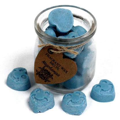 Soy Wax Melts: Nagchampa
