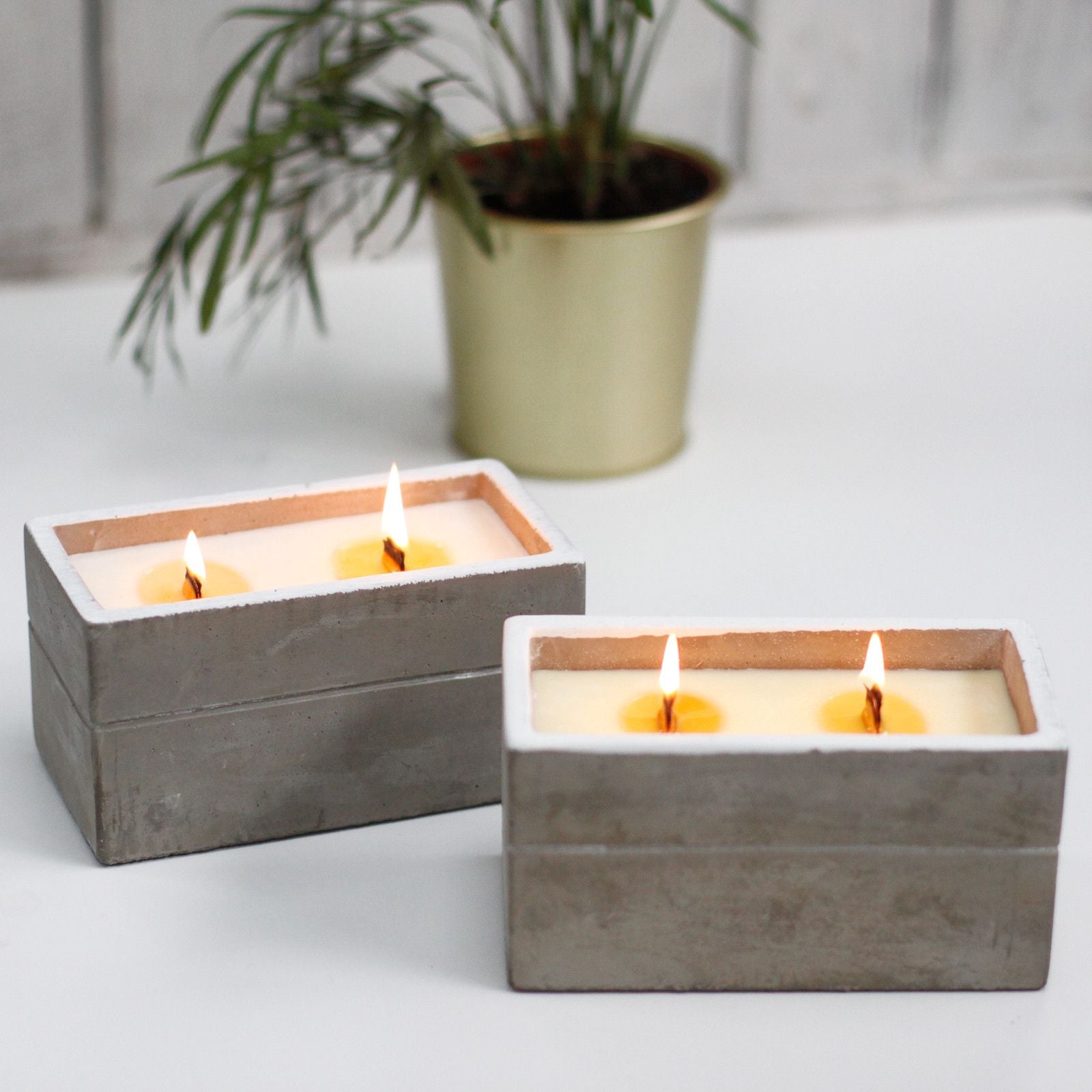 Concrete Candle - Clove & Dark Sandalwood