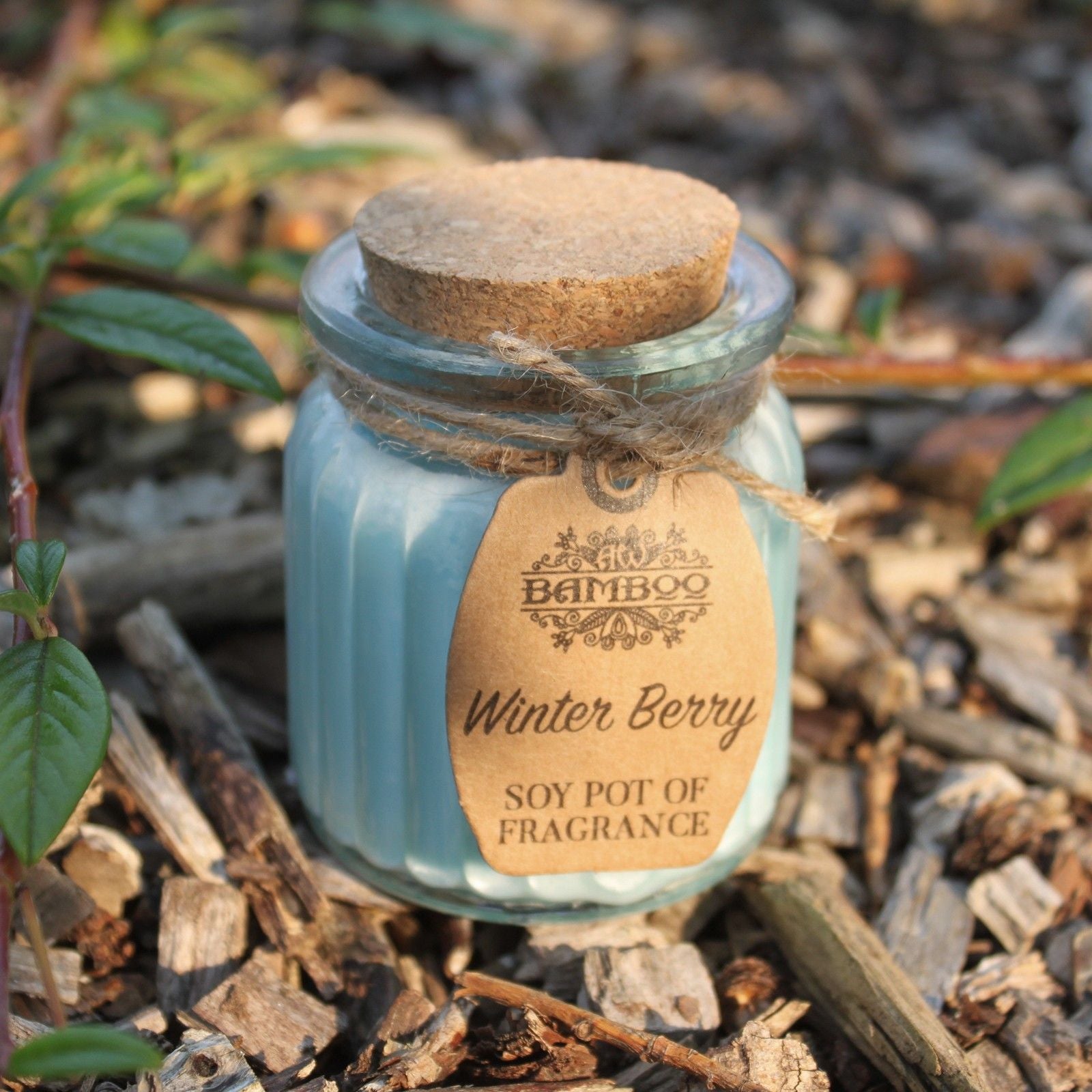 Fragrance Candle Pots: Winter Berry - (Set of 2)