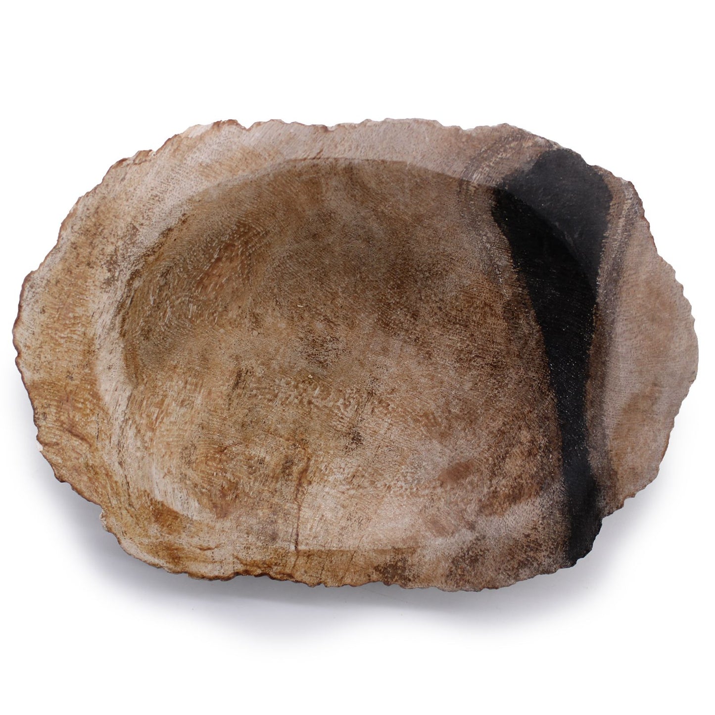 Petrified Wood Soap Dish