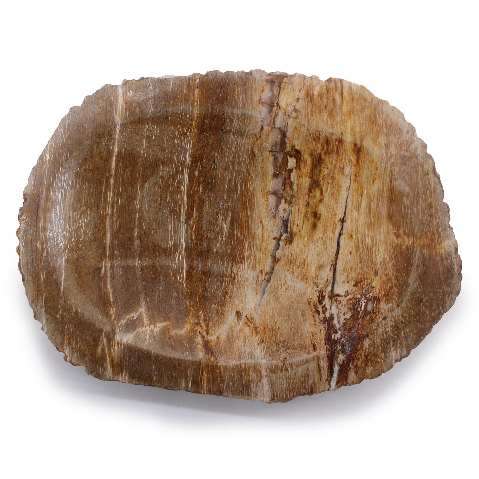 Indonesian Petrified Wood Soap Dish