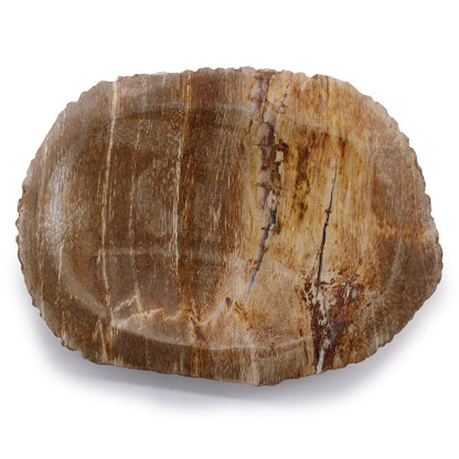 Indonesian Petrified Wood Soap Dish