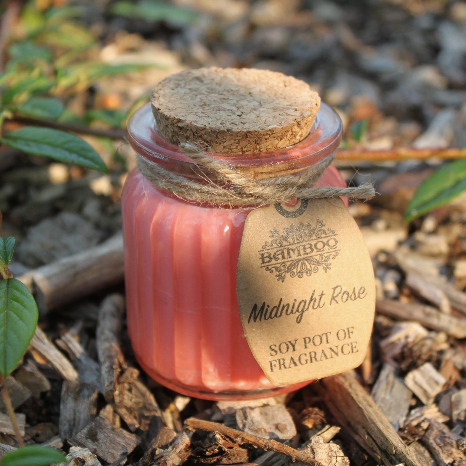 Fragrance Candle Pots: Midnight Rose - (Set of 2)