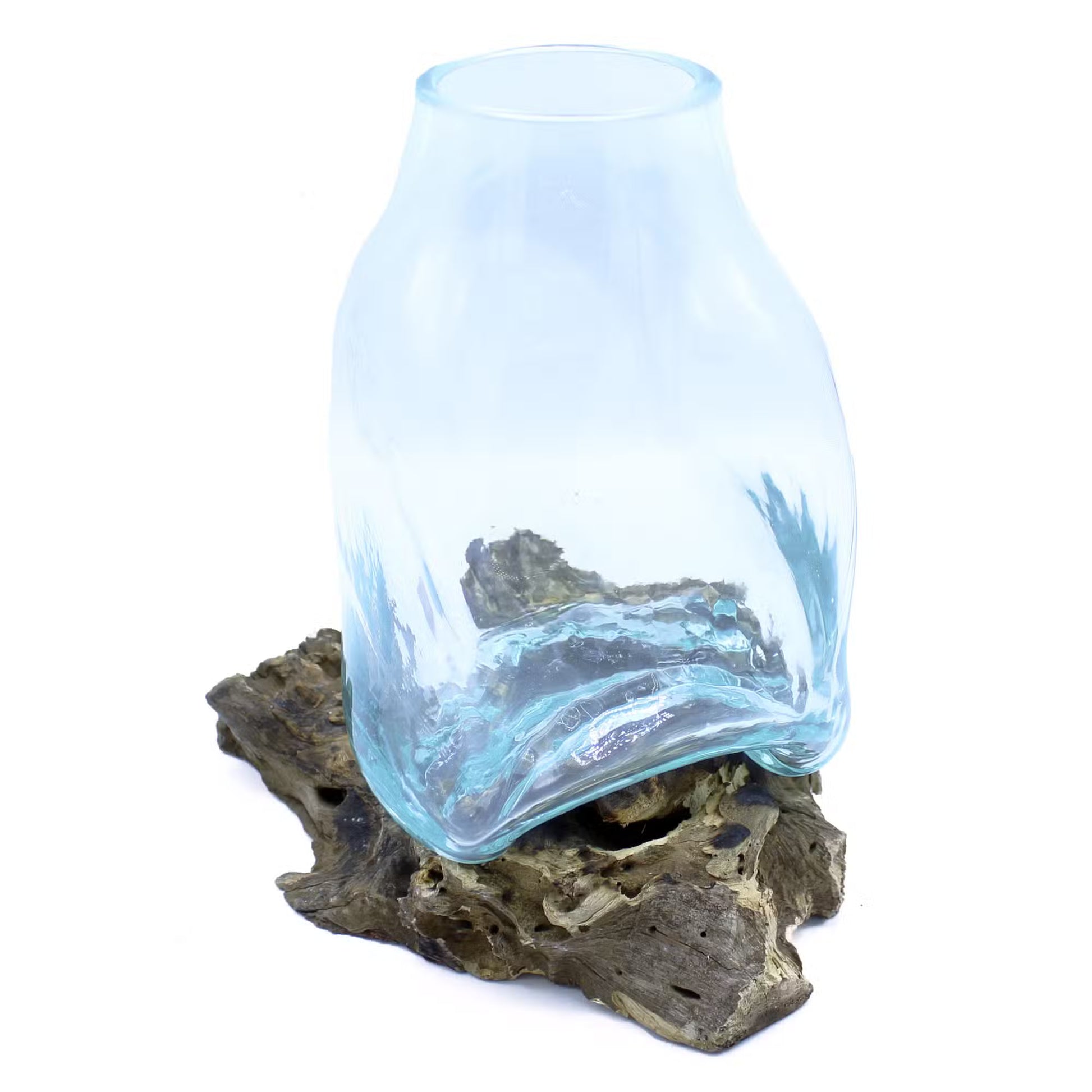 Large Hand-Blown Molten Glass Terrarium Jar on Gamal Wood Root