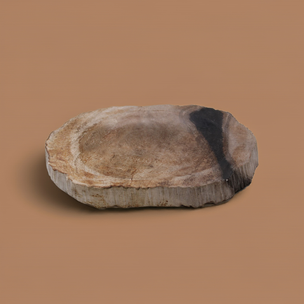 Petrified Wood Soap Dish