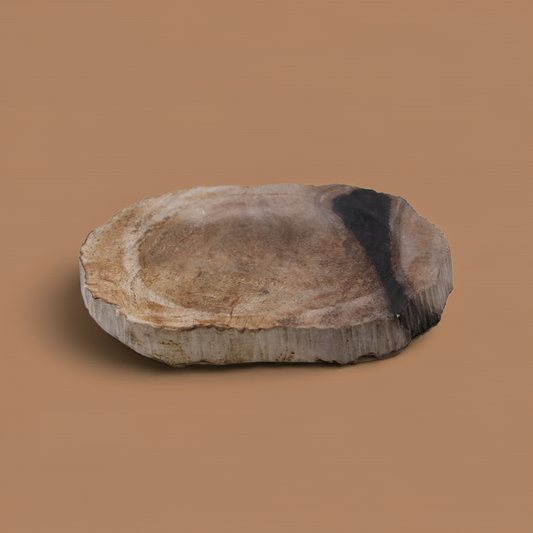 Petrified Wood Soap Dish