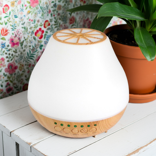 Viennese Atomiser: Fragrant Mist Diffuser - 300ml