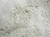 Elemental Crystal Bath Bomb: Flora & Fauna - 180g