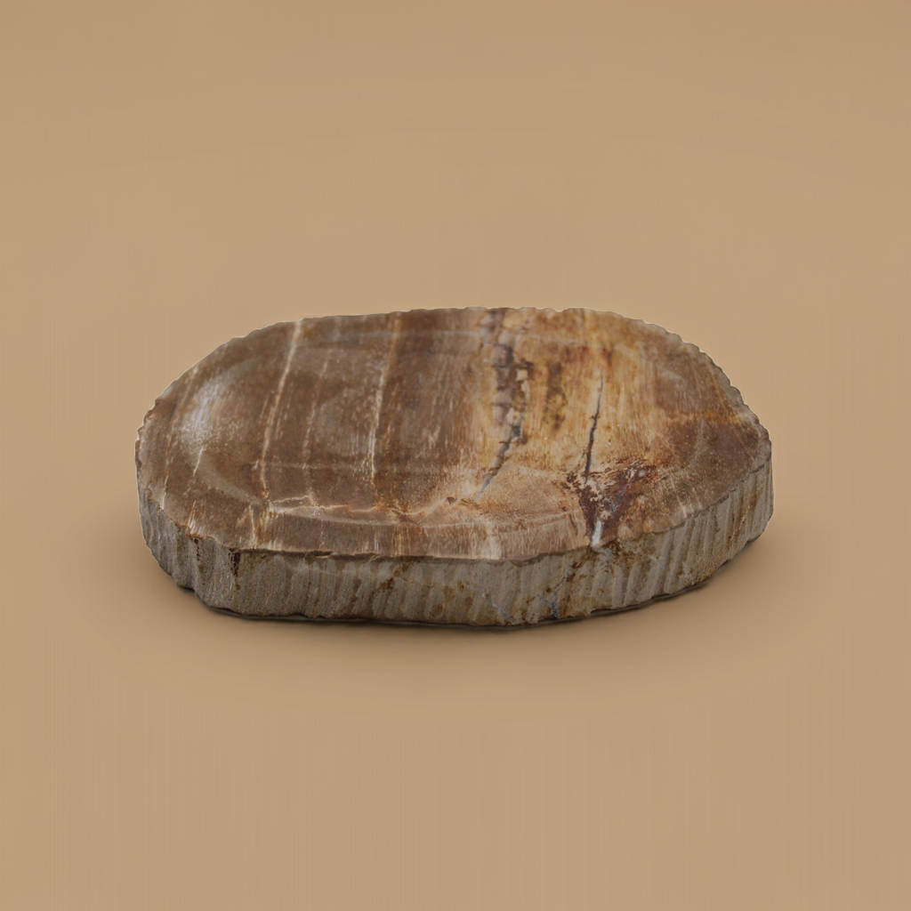 Indonesian Petrified Wood Soap Dish