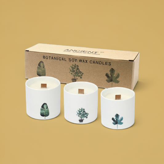 Botanical Candles: Lemon Honeysuckle